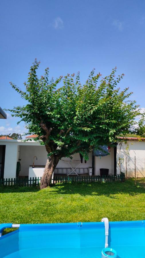 House With Pool And Garden In Esmoriz Near Porto Villa Eksteriør bilde